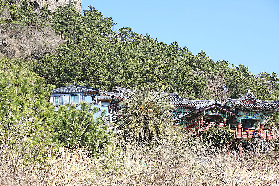 제주도 갈만한곳 제주 산방산 보문사 산방굴사