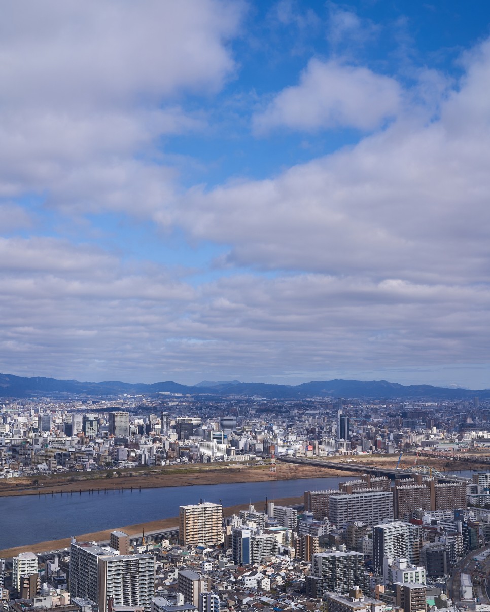 오사카 여행 (2024. 1. 31 - 2. 3): 4일차