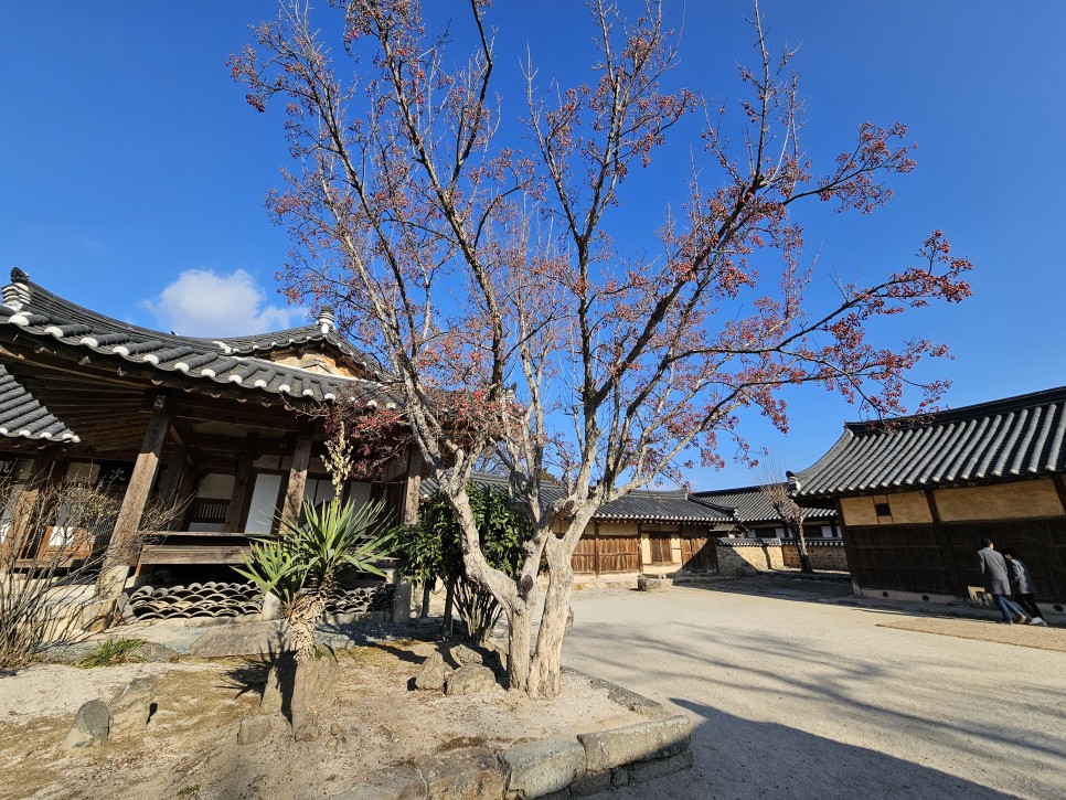 경주 가볼만한곳 월정교 주변 야경 명소 경주 여행 코스