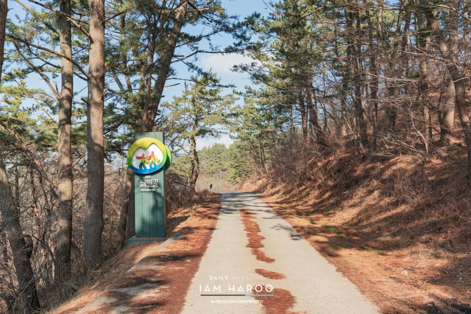 충남 태안 가볼만한곳  태안 만리포 카페, 만리포전망대 외 드라이브코스