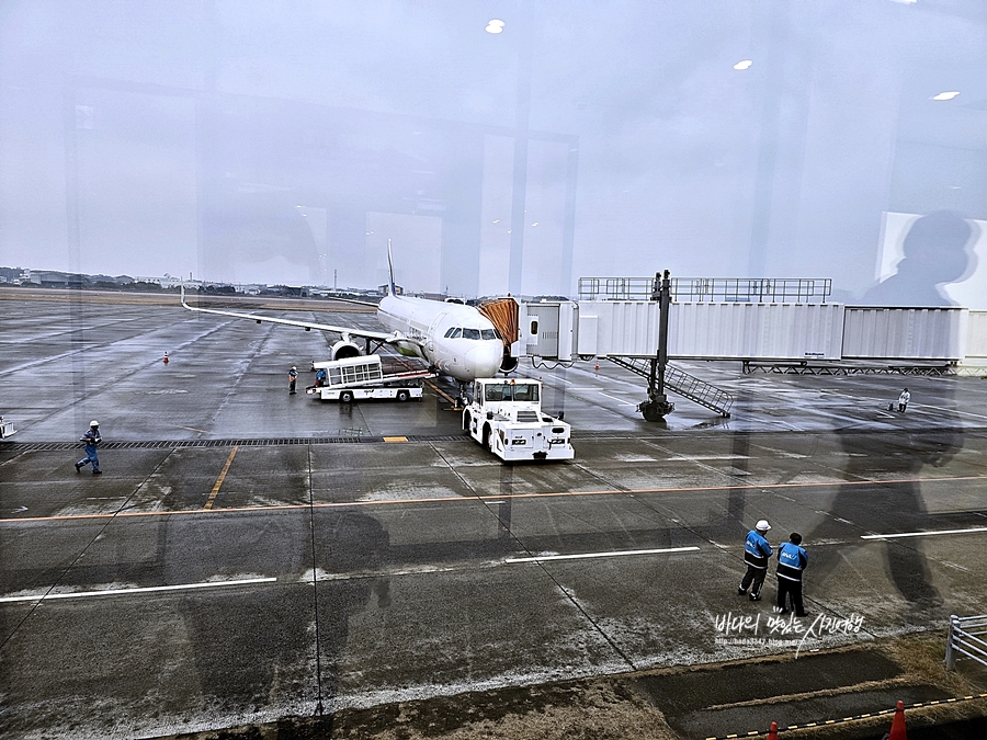 일본 마쓰야마 여행 마쓰야마 공항 무료 쿠폰 무료 셔틀버스 (트래블로그 인출)