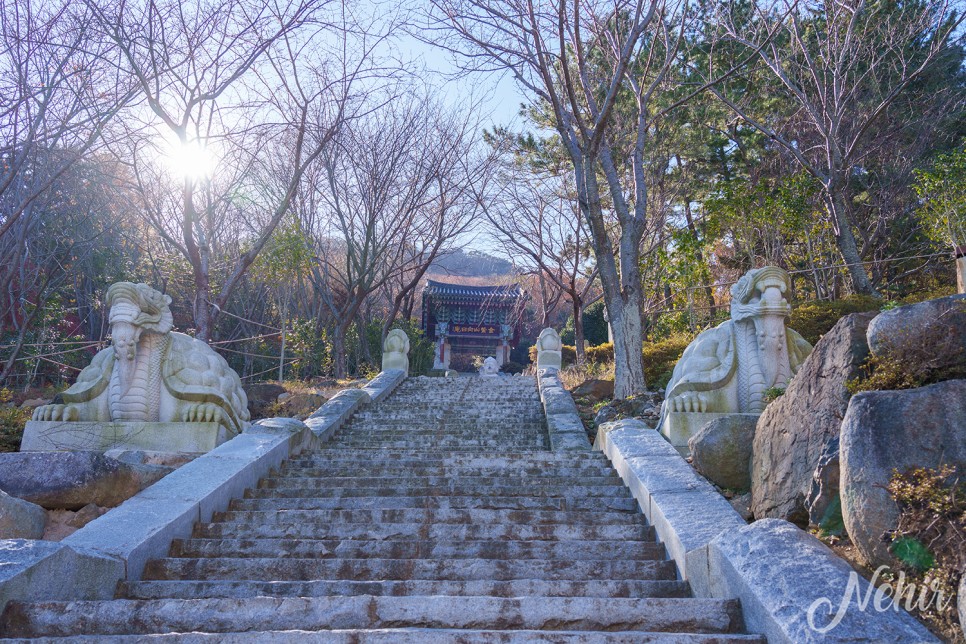 여수 사찰 향일암 주차 맛집 여수 여행지 추천