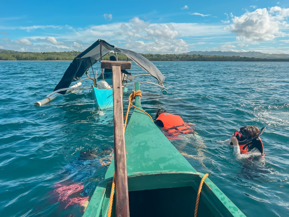 필리핀 보홀 자유여행  패키지, 보홀 고래상어, 호핑투어, 보홀 리조트 추천
