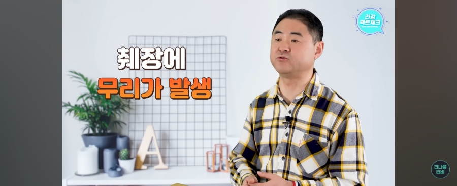 건나물 티비 췌장을 망치는 콩 이렇게 먹으면 독! 입니다