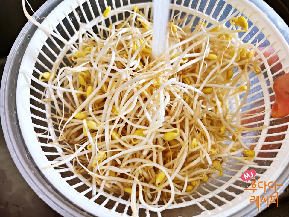 콩나물밥 양념장 레시피 1/3칼로리 다이어트 콩나물밥 만들기 달래양념장