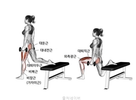 여자 남자 실내운동 홈트 힙업 애플힙 운동 덩키킥 스플릿 스쿼트 엉덩이 근육 근력운동