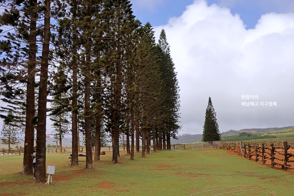 하와이 신혼여행 라나이 섬 천상의 호텔 숙소와 관광지