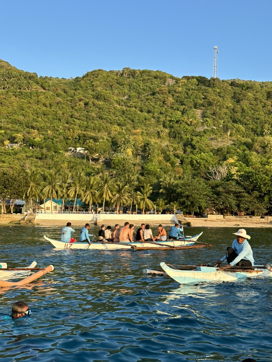 필리핀 세부 여행❤️ 오슬롭 투어: 고래상어, 정어리떼, 모알보알 거북이, 투말록 폭포! 가격, 예약