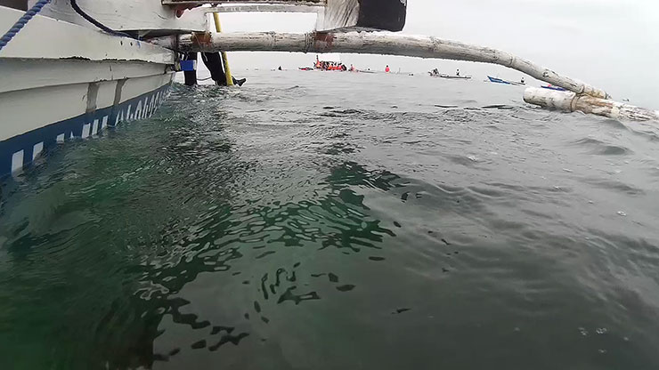 필리핀 섬 필리핀 보홀 고래상어 투어