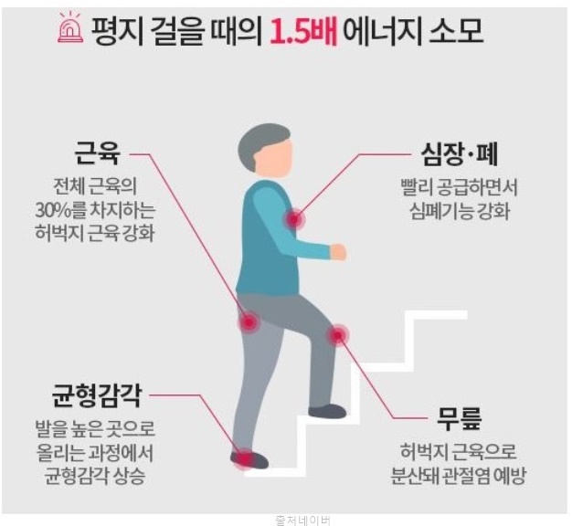 한지혜 몸매관리 계단오르기 효과 칼로리 아파트 계단운동 운동방법 실내 유산소 운동기구