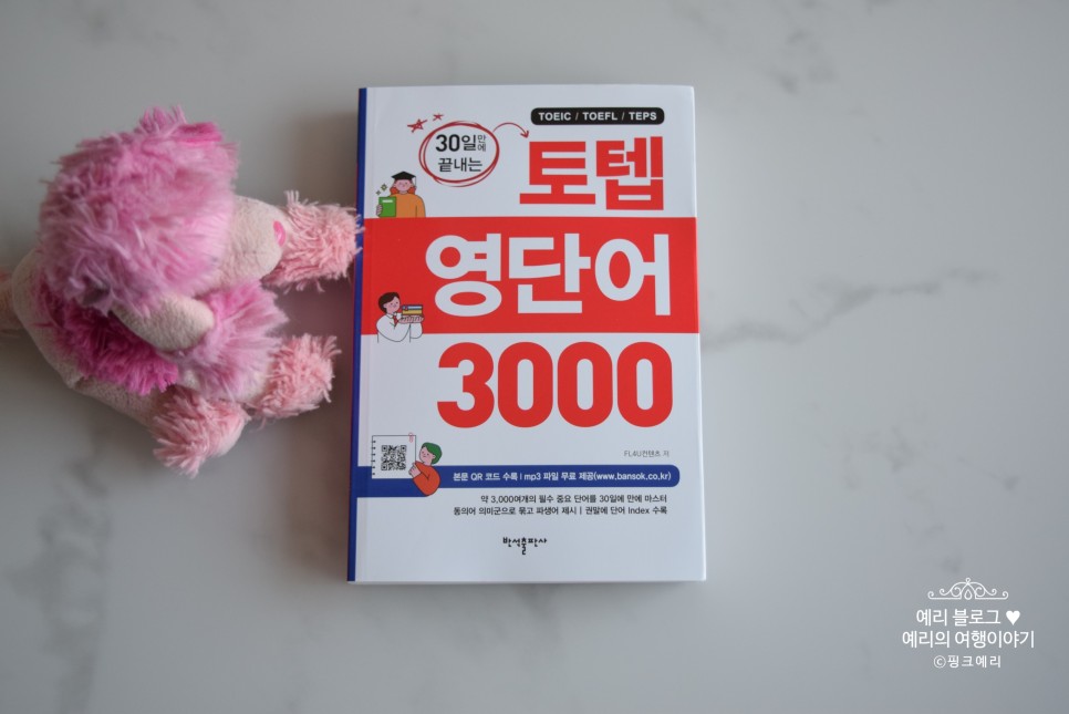 토익 영어 단어 30일만에 끝내는 토텝 영단어 3000 공부