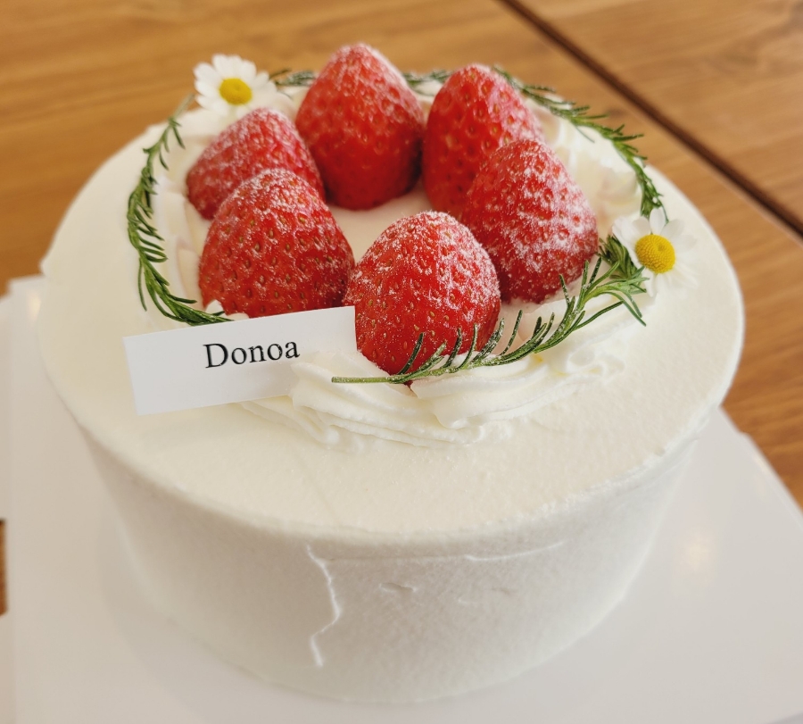 창원케이크, 딸기 생크림 케이크, 도노아 추천