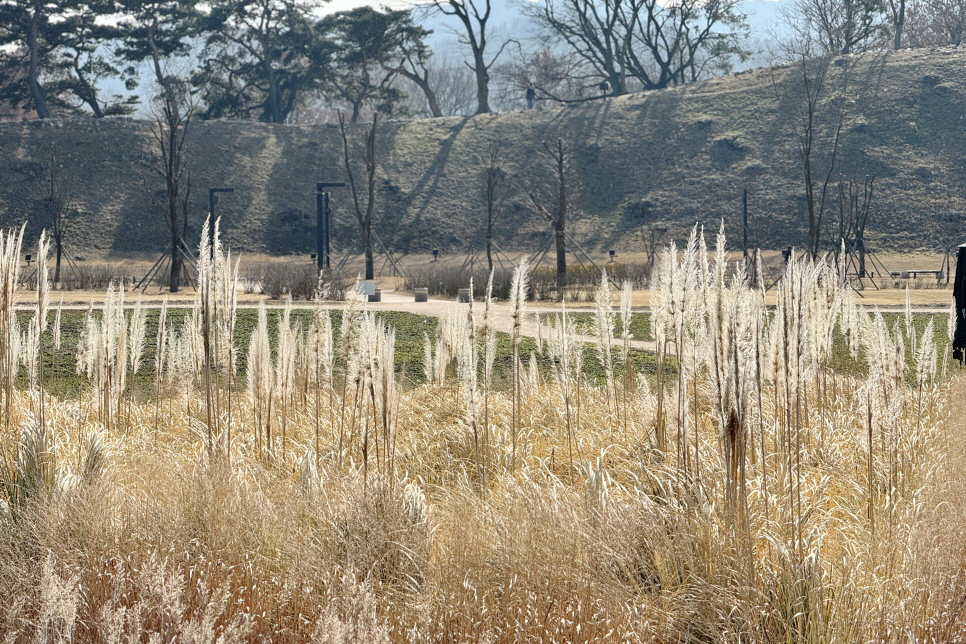 아이와 경주 관광지 볼거리 명소 경주 첨성대 비단벌레차