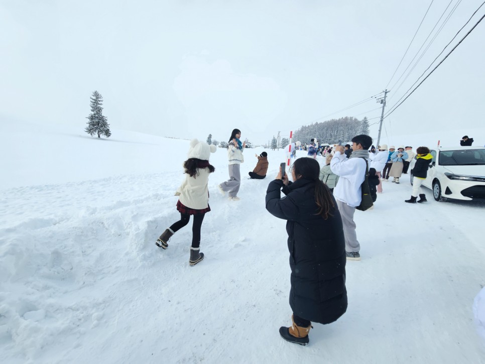 홋카이도 삿포로 비에이 버스 투어 크리스마스 트리 흰수염폭포 여행 코스