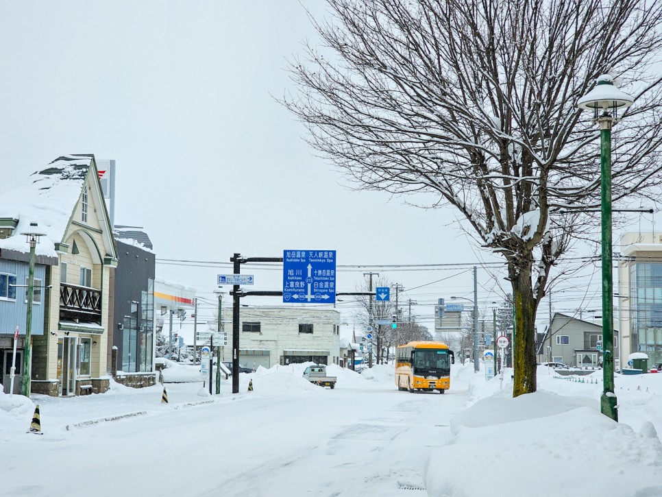 홋카이도 삿포로 비에이 버스 투어 크리스마스 트리 흰수염폭포 여행 코스