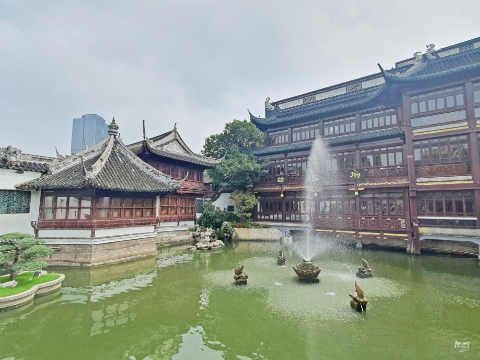 중국 상해여행 가볼만한곳 상하이 예원 남상만두 소룡포