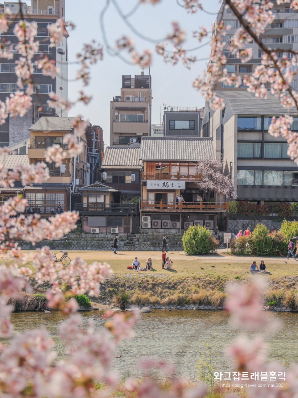 일본 벚꽃 여행 오사카 교토 벚꽃명소 사진스팟 BEST 7