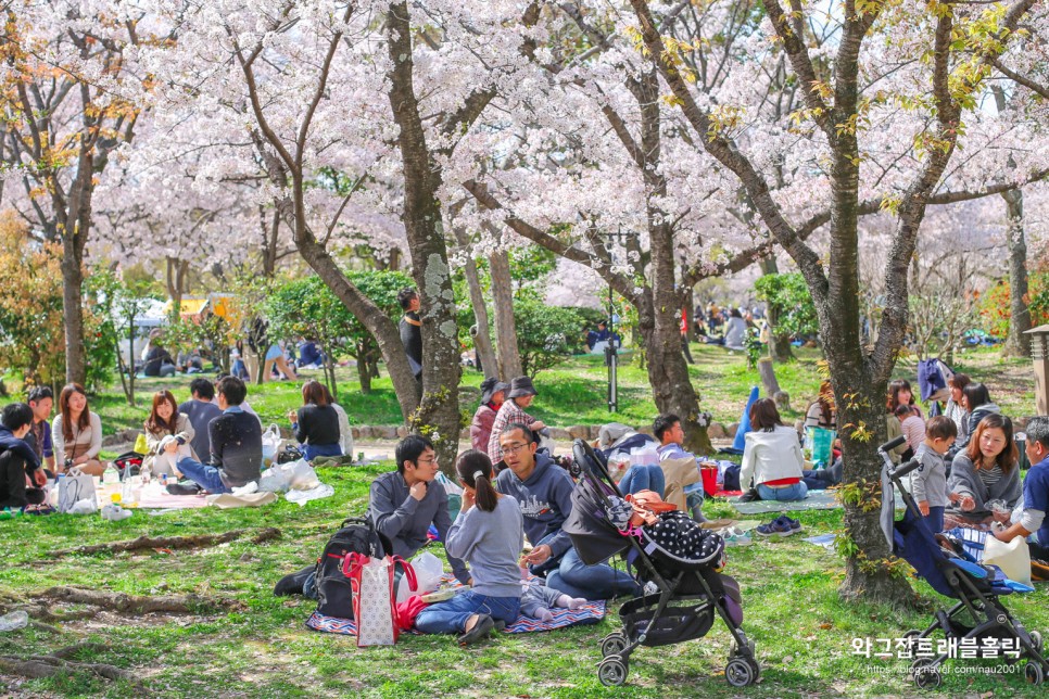 일본 벚꽃 여행 오사카 교토 벚꽃명소 사진스팟 BEST 7