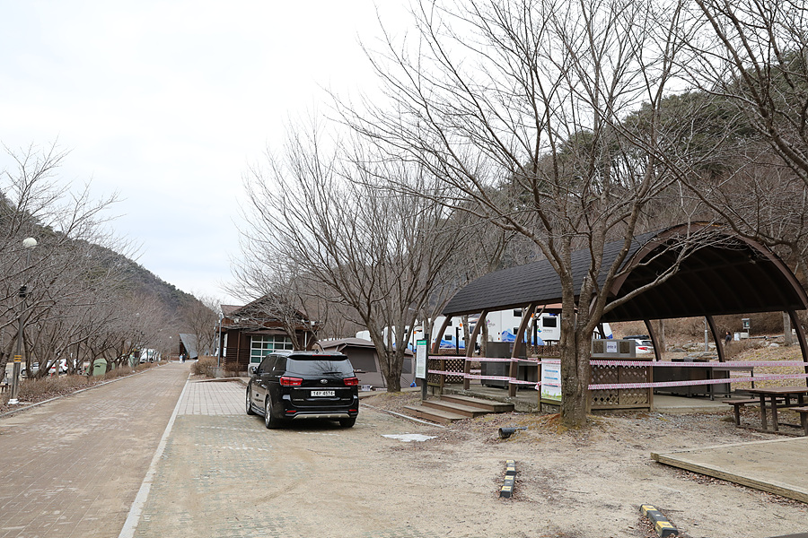 치악산국립공원 구룡야영장 '불멍가능한 야영장' 추천!