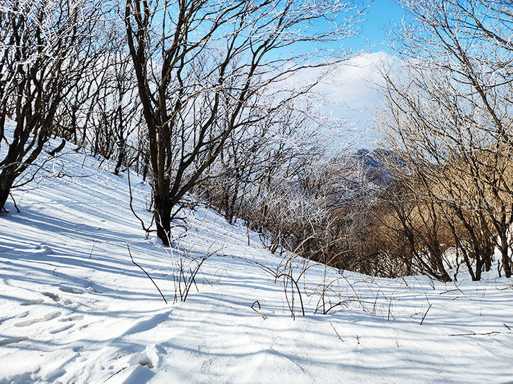 원주 치악산 등산코스 황골 - 비로봉 치악산 국립공원