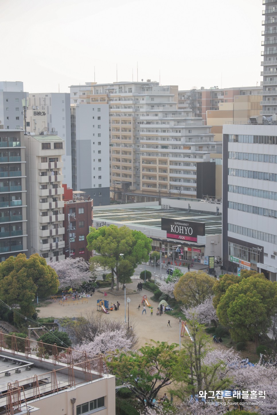 일본 오사카호텔 난바역 VS 도톤보리 위치별 가성비 숙소 추천