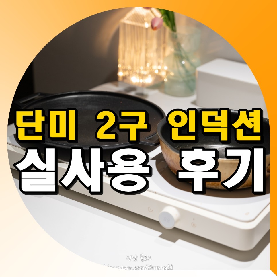 휴대용 단미 2구 인덕션 추천 후기