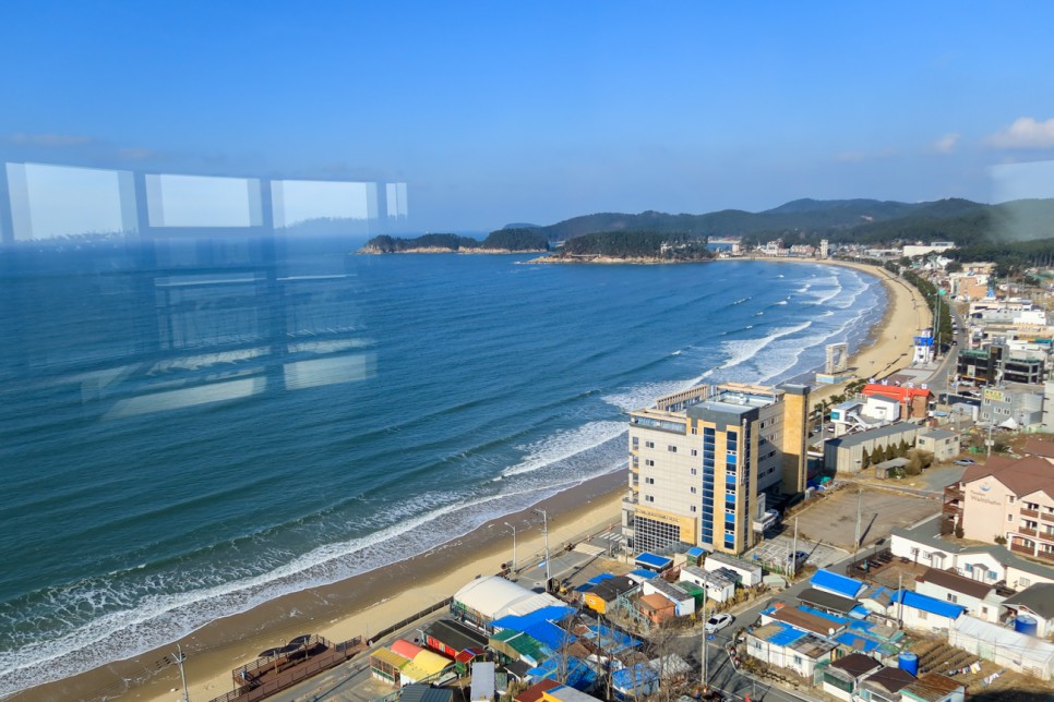 충남 태안 여행 가볼만한곳 추천 겨울 바다 오션뷰 천만금 카페