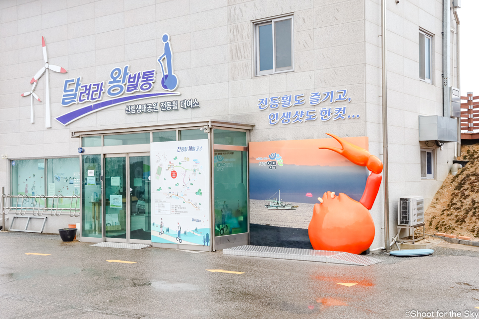 경북 아이와 가볼한곳 드라이브 코스 영덕 신재생 에너지 전시관