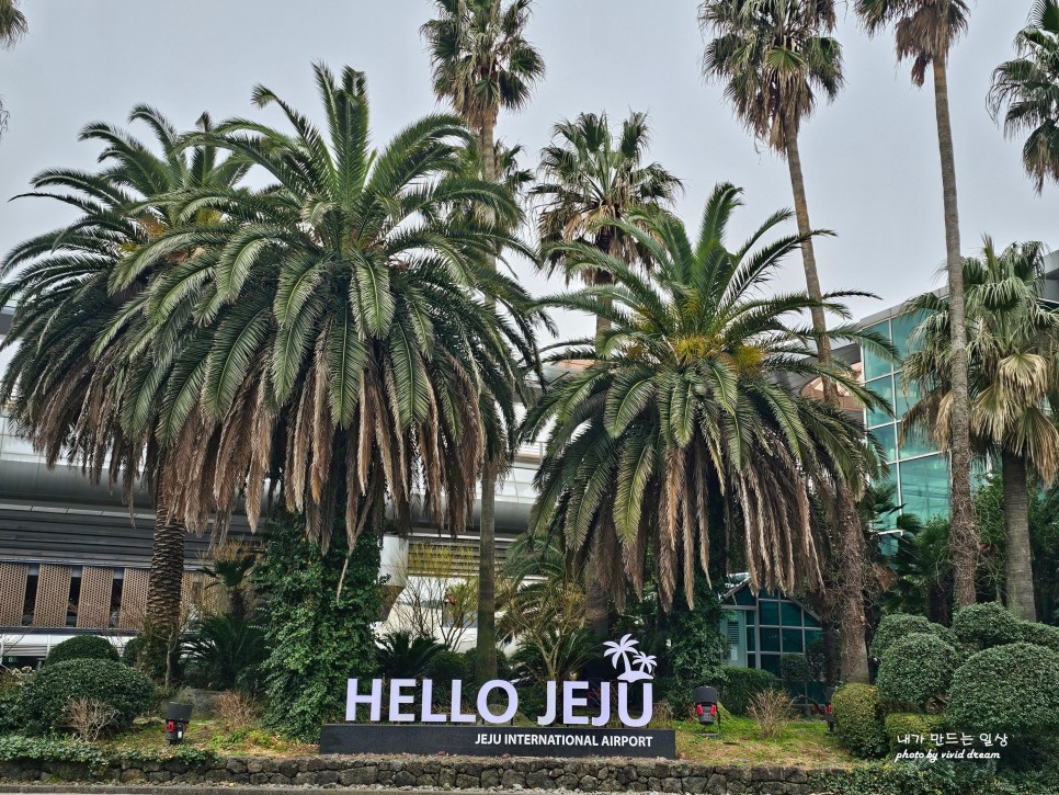 김포공항 주차장 주차비 할인받고 편하게 주차대행 유채꽃 보러 가자