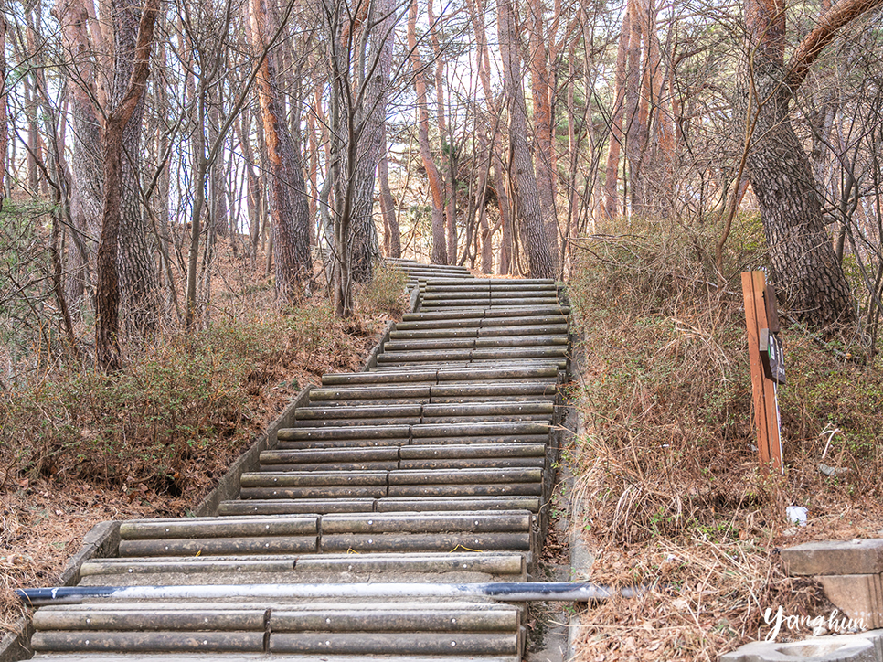 강원도 양양 여행 코스 하조대 전망대 볼거리