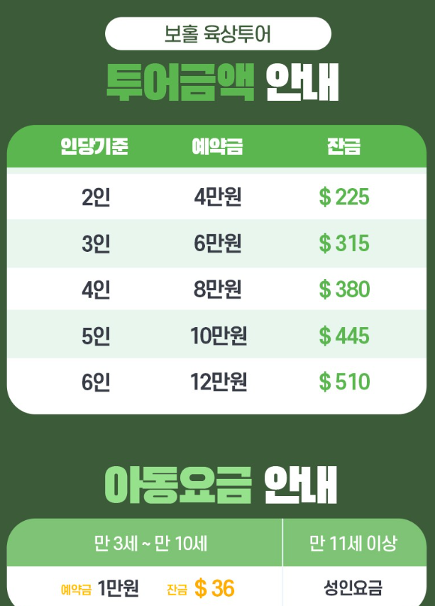 필리핀 보홀 여행 육상투어 가격 시간 단독 투어 후기