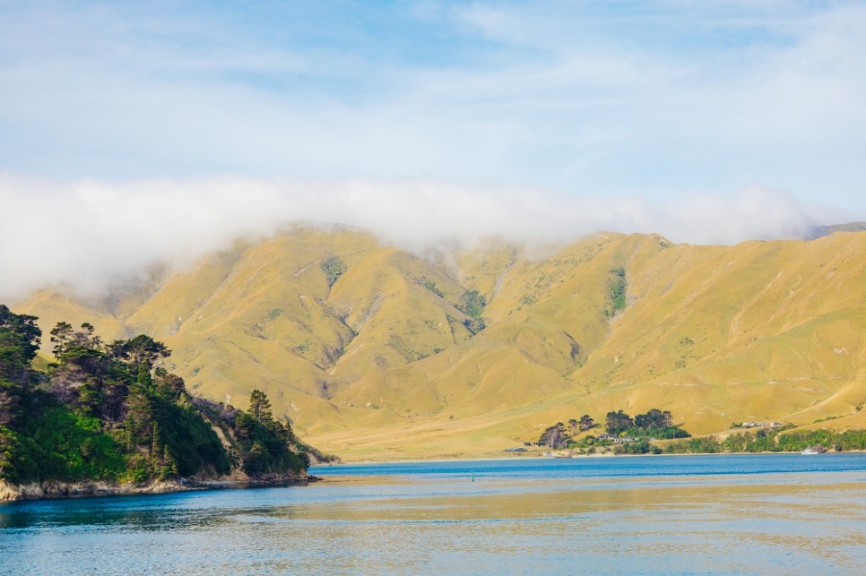 뉴질랜드 여행 북섬 남섬 렌트카 여행 페리 이용방법 티켓 예약 총정리