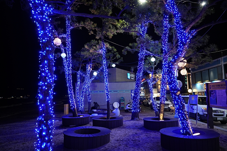 울산 진하해수욕장 야경 산책로 울산 바다 (바닷가) 명선도는 못감