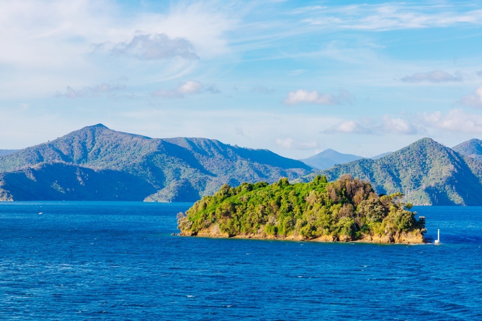 뉴질랜드 여행 북섬 남섬 렌트카 여행 페리 이용방법 티켓 예약 총정리