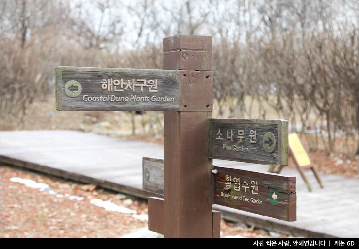 인천 당일치기 여행 인천 가볼만한곳 인천대공원 볼거리