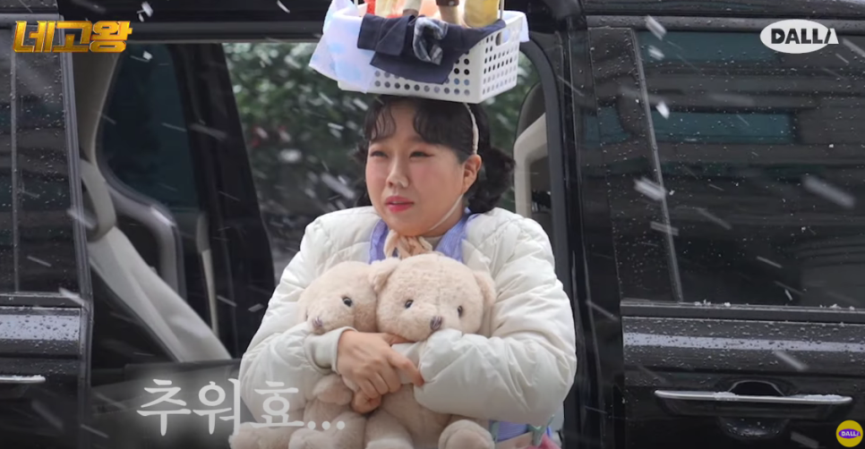 스너글 섬유유연제 네고왕 시즌6 캡슐 세제 탈취제 가격 정보
