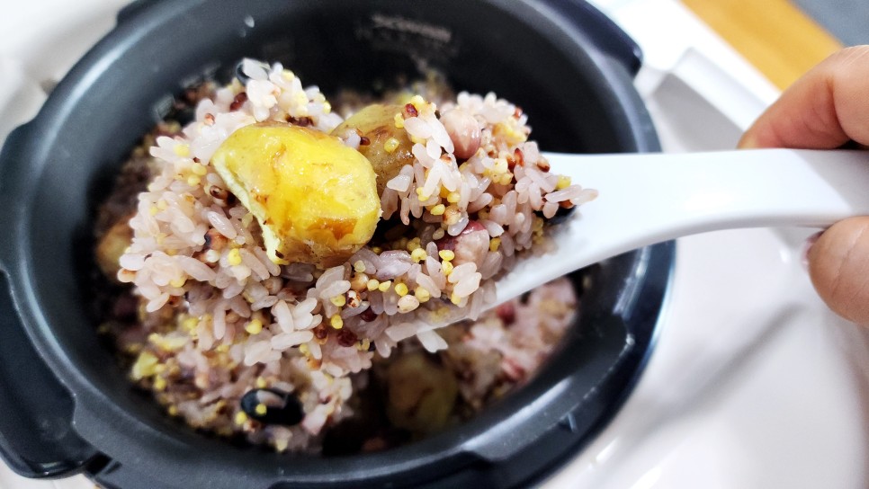정월대보름 오곡밥 만드는법 재료 간단 전기밥솥 찰밥 차조밥 찹쌀밥 만들기