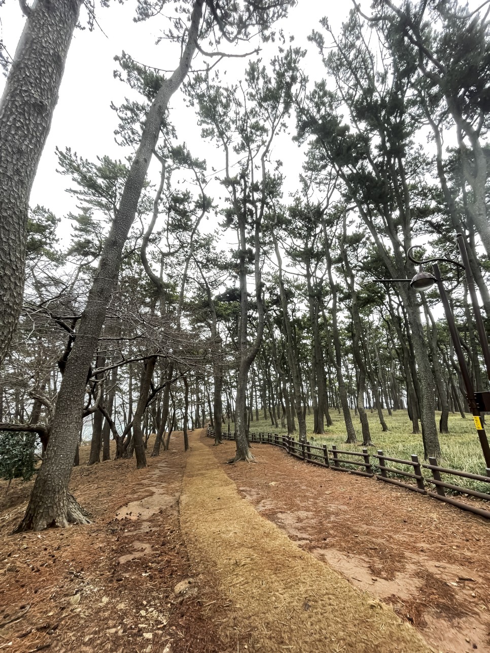 머렐 하이킹화 추천 여자 등산화 러닝화 등산용품 리뷰