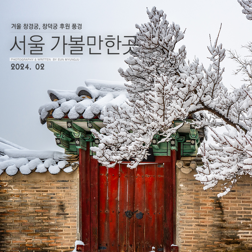 서울 겨울 가볼만한곳 창경궁 창덕궁 후원 관람