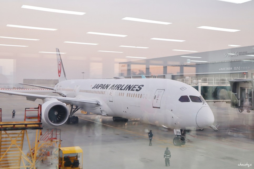 일본항공 기내식 프리미엄 이코노미 무료 업그레이드 꿀팁 좌석 JAL 후기
