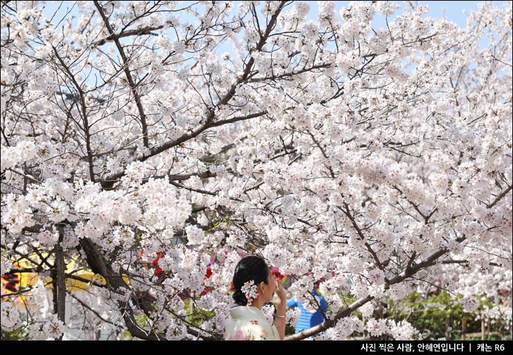 일본 교토 여행 코스 교토 청수사 아라시야마 기온거리 교토 벚꽃
