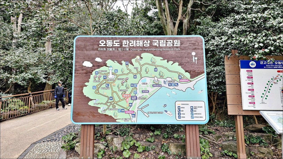 3월 국내 여행지 추천 여수 동백꽃 명소 오동도 여수 가볼만한곳!