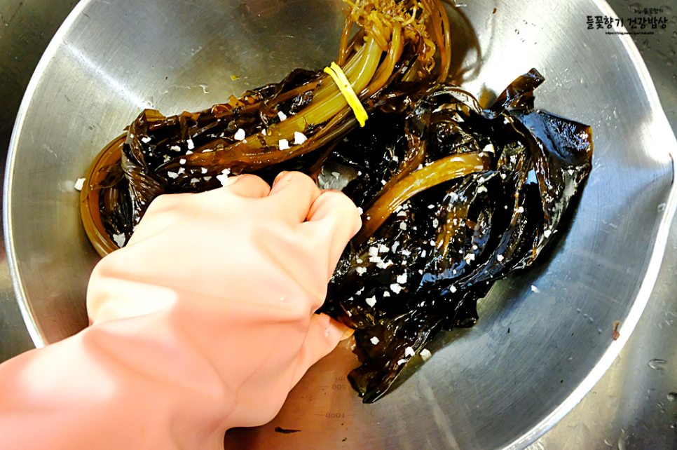 물미역데치기 생미역 씻기 물미역 손질 요리 초고추장 만들기