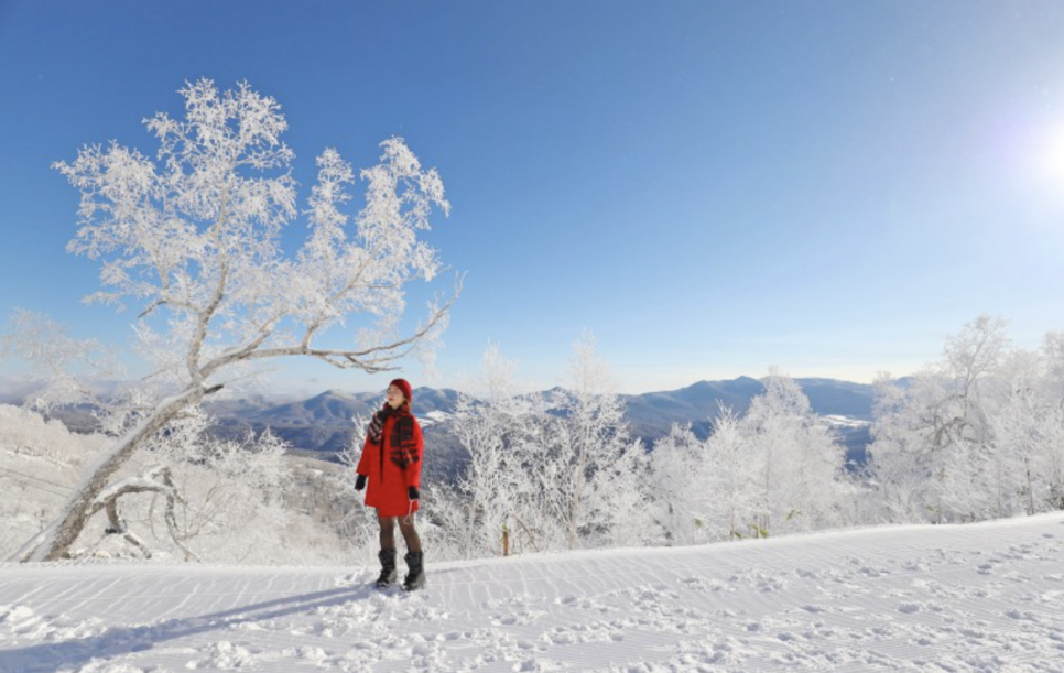 Vancouver 무사귀환... 다음목적지는 Hokkaido...