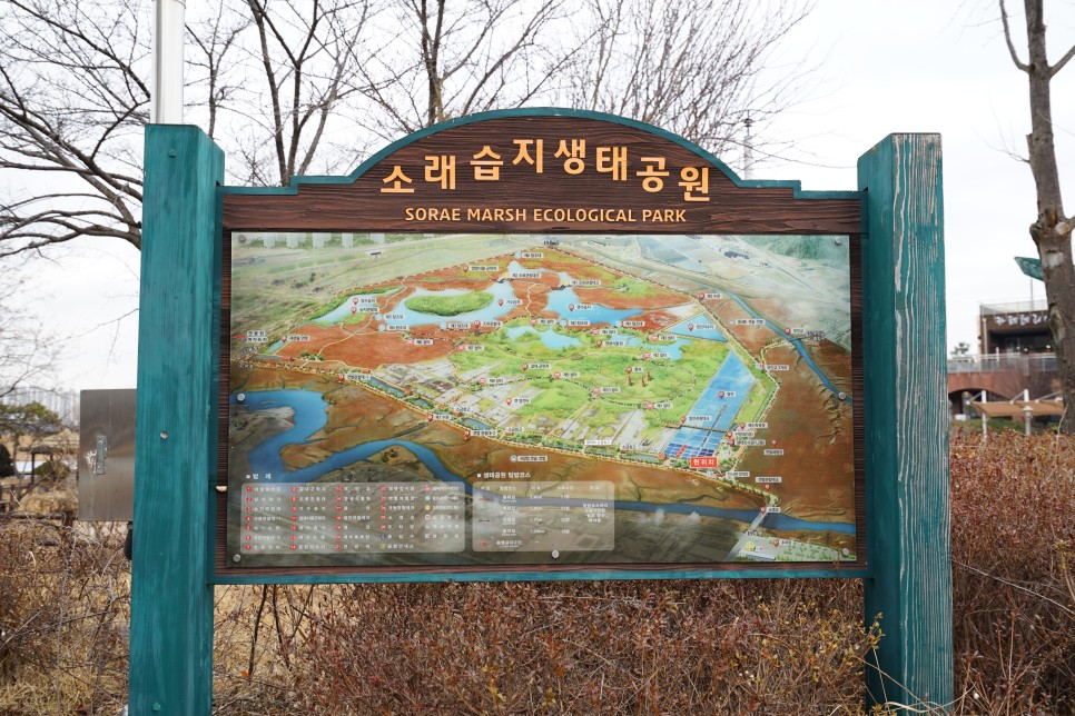 소래습지생태공원 인천 주말 가볼만한곳, 염전과 갯벌습지와 풍차가 있는곳!