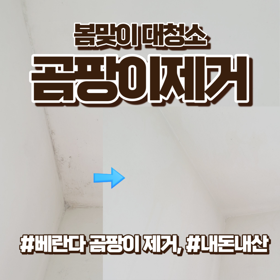 베란다곰팡이 제거, 실리콘 곰팡이 제거, 에코후레쉬 곰팡이제거제 내돈내산 후기