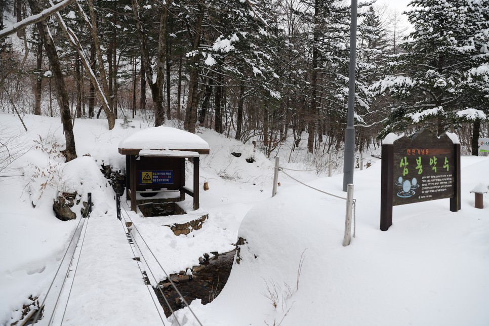 지프 랭글러 루비콘과 함께한 강원도 홍천 눈프로딩 여행, 삼봉자연휴양림