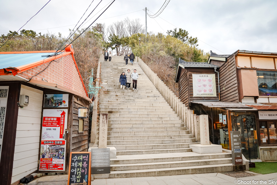 포항 가볼만한곳 일본인가옥거리 구룡포 카페 & 근대문화역사거리