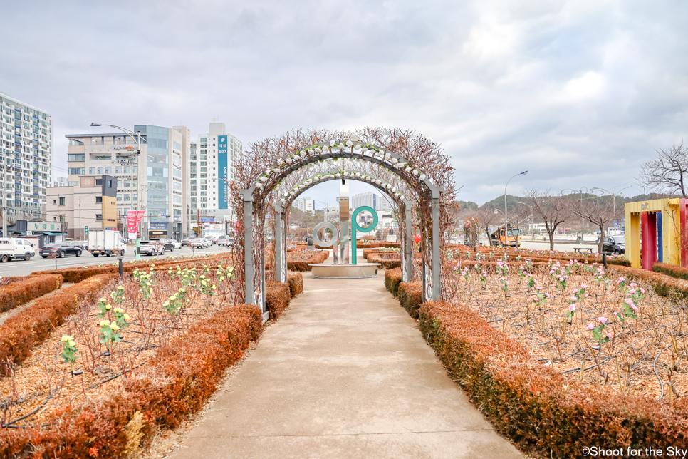 포항 관광지 볼거리 포항 영일대 장미원