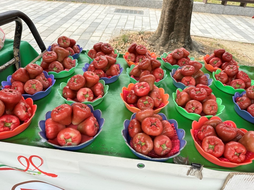 현지인처럼 타이베이 자유여행 중산 우육면 맛집 한인민박 숙소